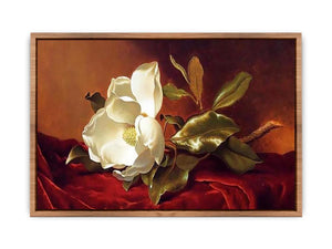 A Magnolia On Red Velvet Poster