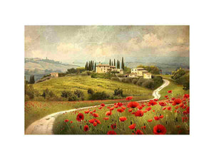 Red Poppies House