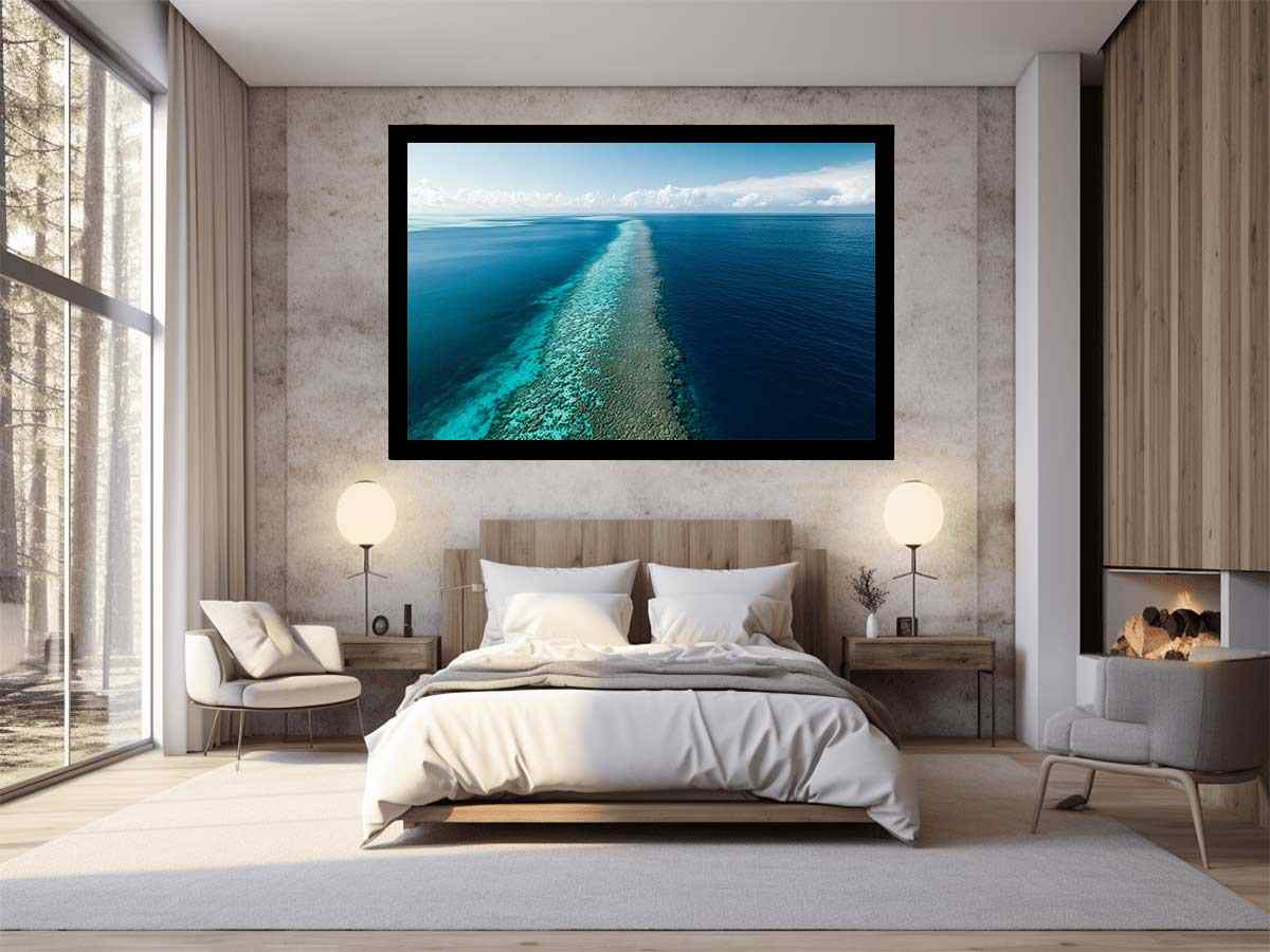 The Coral Kingdom