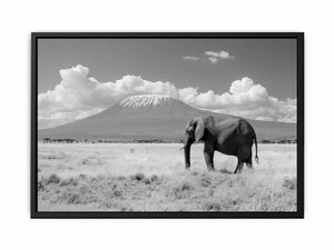 Lonely Elephant Painting
