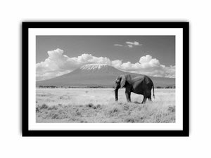 Lonely Elephant Art Print