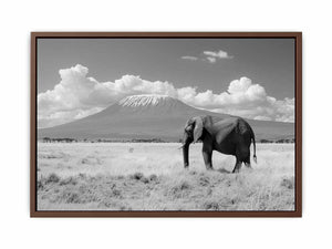 Lonely Elephant Poster