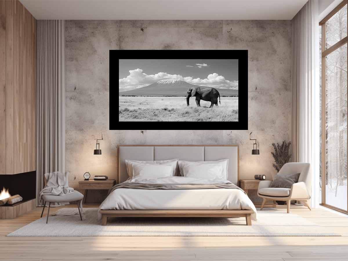 Lonely Elephant