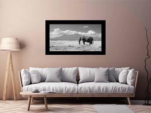 Lonely Elephant