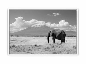 Lonely Elephant Framed Print