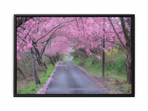 Cherry Blossom Path Painting
