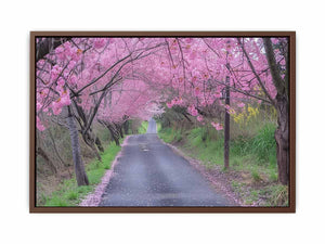 Cherry Blossom Path Poster