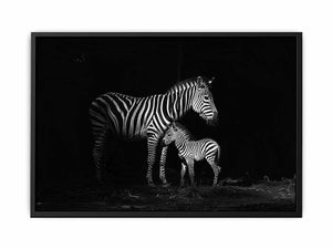Zebra Mum & Baby Painting