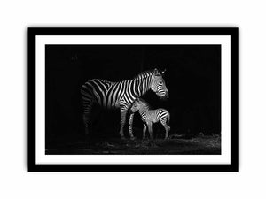 Zebra Mum & Baby Art Print