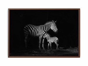 Zebra Mum & Baby Poster