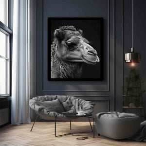 Camel