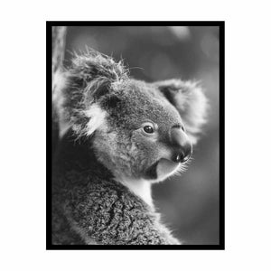 Baby Koala Painting