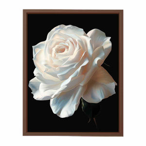 Rose Poster