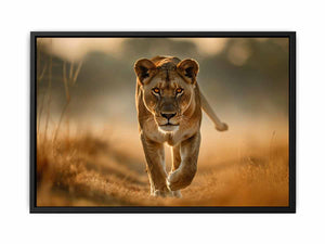 Lioness Painting