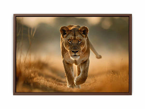 Lioness Poster