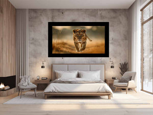 Lioness