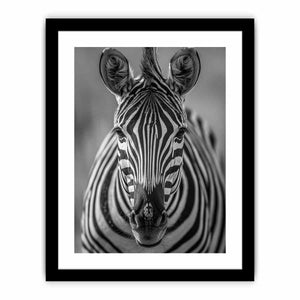 Zebra Stripes Art Print