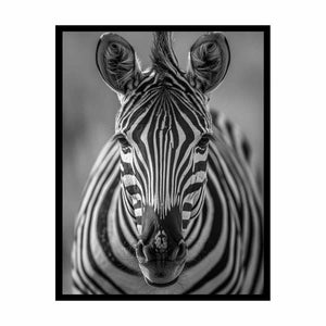 Zebra Stripes Painting