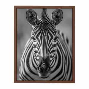 Zebra Stripes Poster