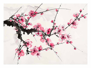 Plum Blossom