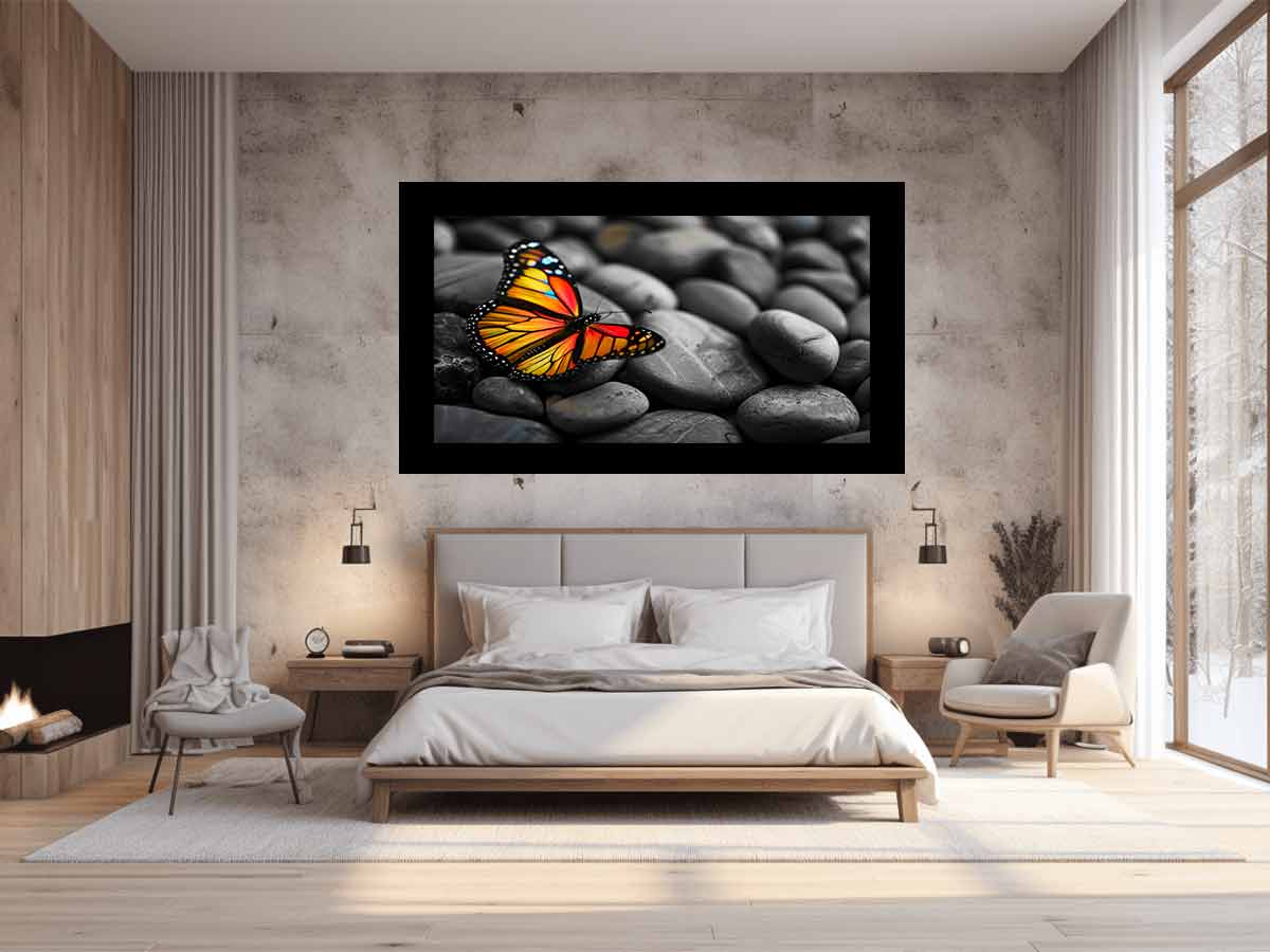 Butterfly on Pebles