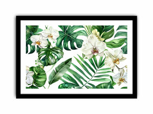 Orchids Art Print