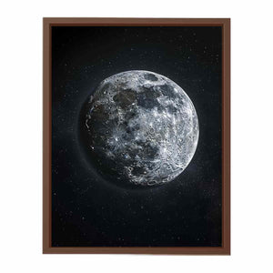 Moon Framed Print