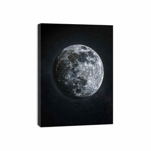 Moon Canvas Print