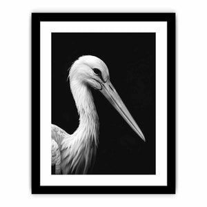 Stork Art Print