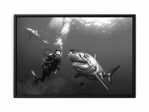 Shark Painting