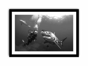 Shark Art Print
