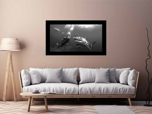 Shark