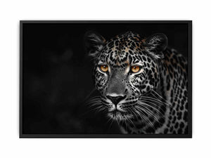 Leopard in Dark Painting