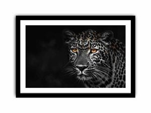 Leopard in Dark Art Print