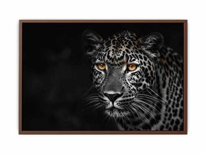 Leopard in Dark Poster