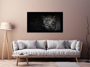 Leopard in Dark