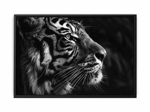 Lion Painting