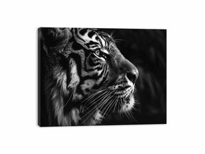 Lion Canvas Print