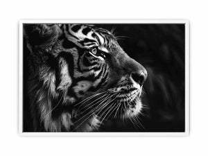 Lion Framed Print