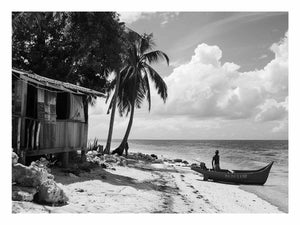 Island Life