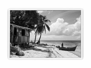 Island Life Framed Print