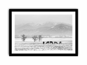 Open Filed Art Print