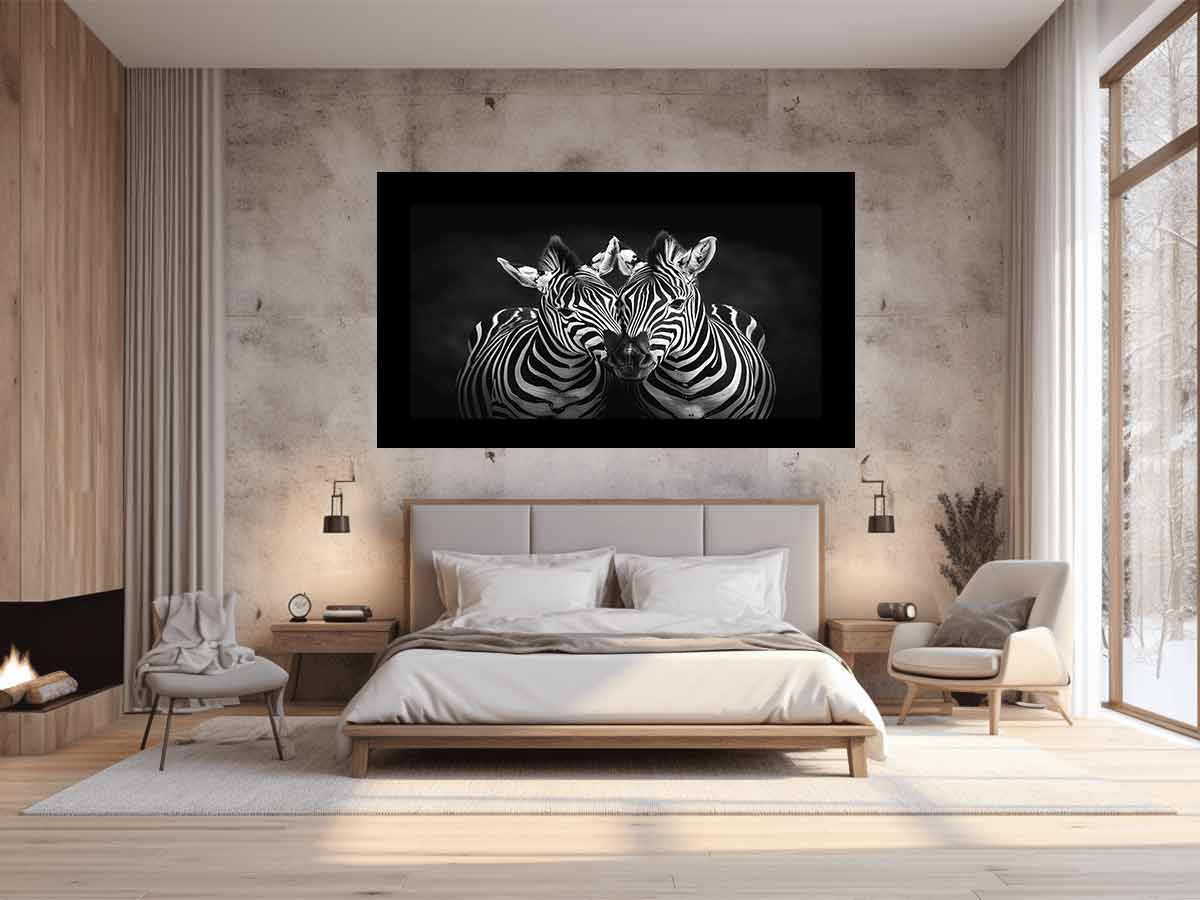 Two Zebras