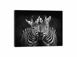Two Zebras Canvas Print