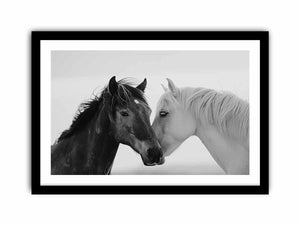 Horses Communicate Art Print