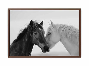 Horses Communicate Poster