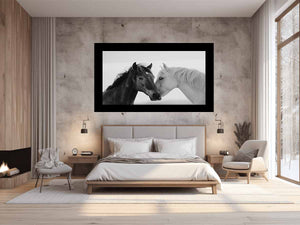 Horses Communicate