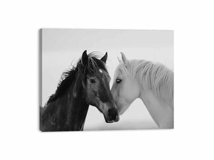 Horses Communicate Canvas Print