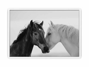 Horses Communicate Framed Print