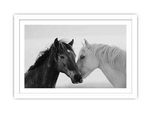 Horses Communicate Streched canvas